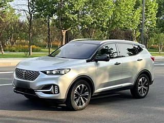 wey vv6