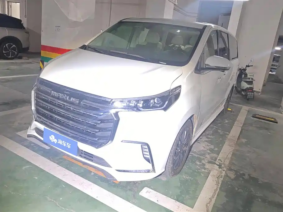 MAXUS OTHER 2020