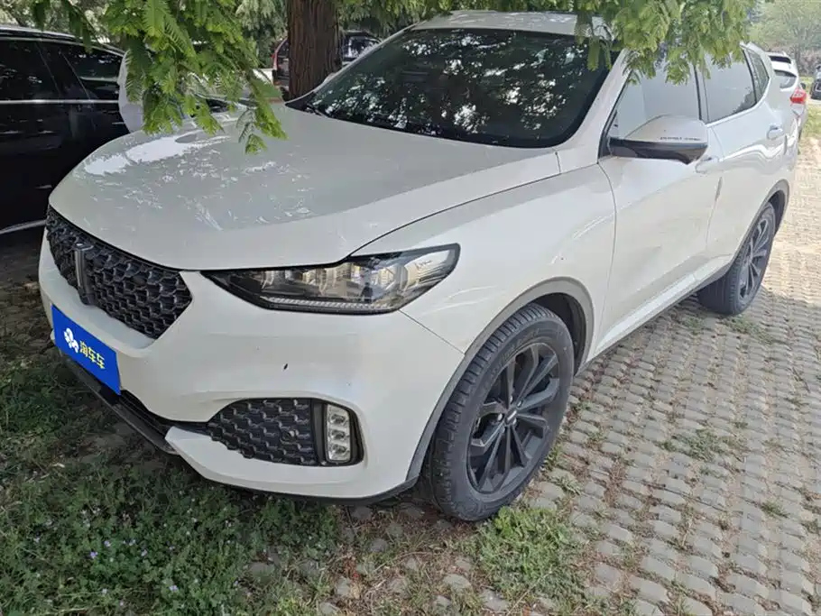 WEY VV6 2020