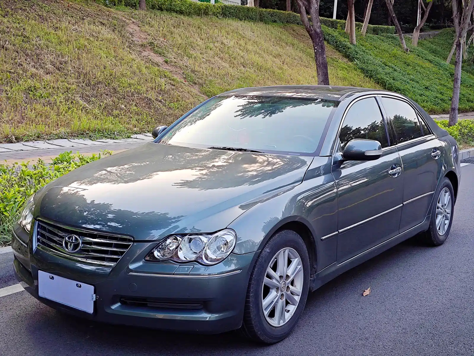 TOYOTA REIZE 2009