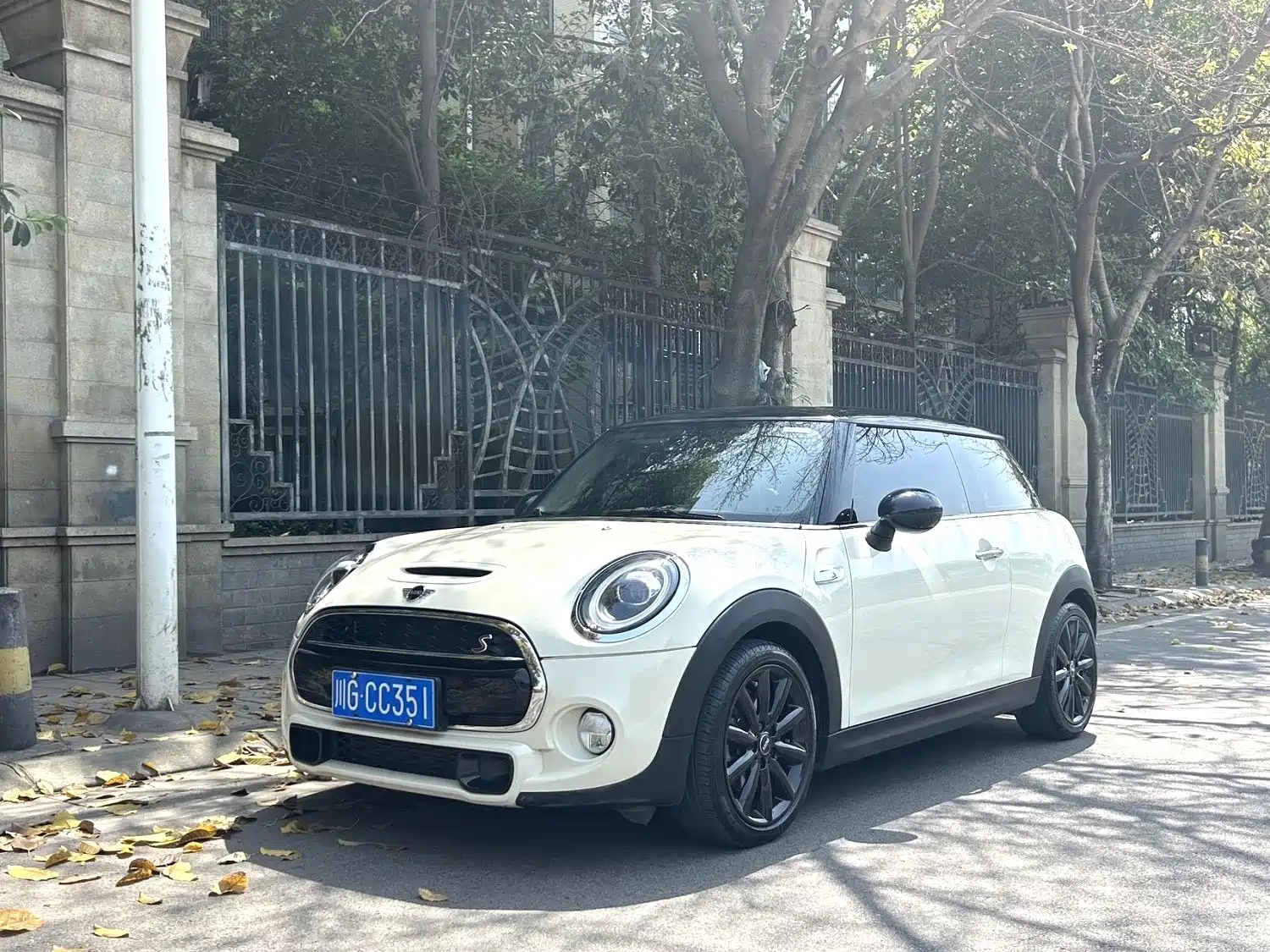 MINI OTHER 2019