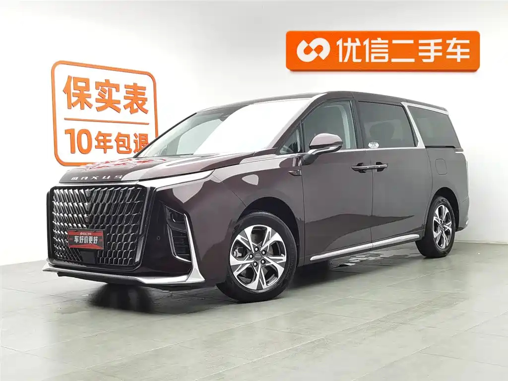 MAXUS OTHER 2022