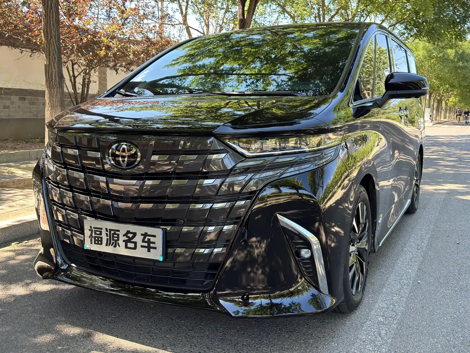 TOYOTA ALPHARD 2024