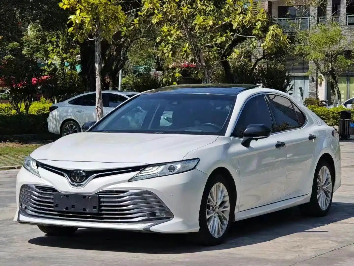 TOYOTA CAMRY 2019