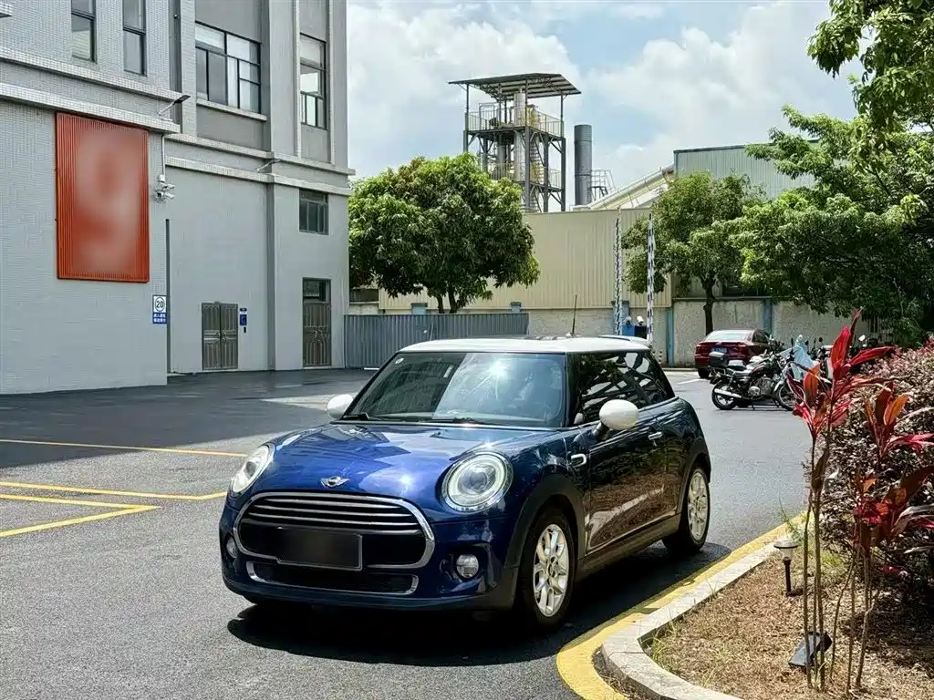 MINI OTHER 2014