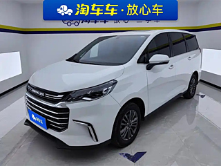 maxus other