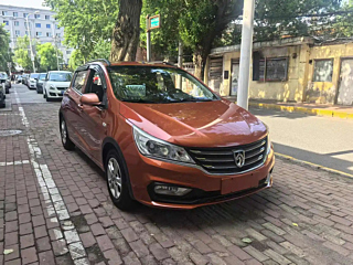 bao-jun 310