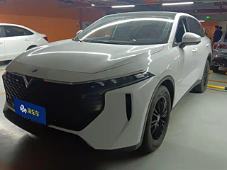 Заказать VENUCIA BIG V