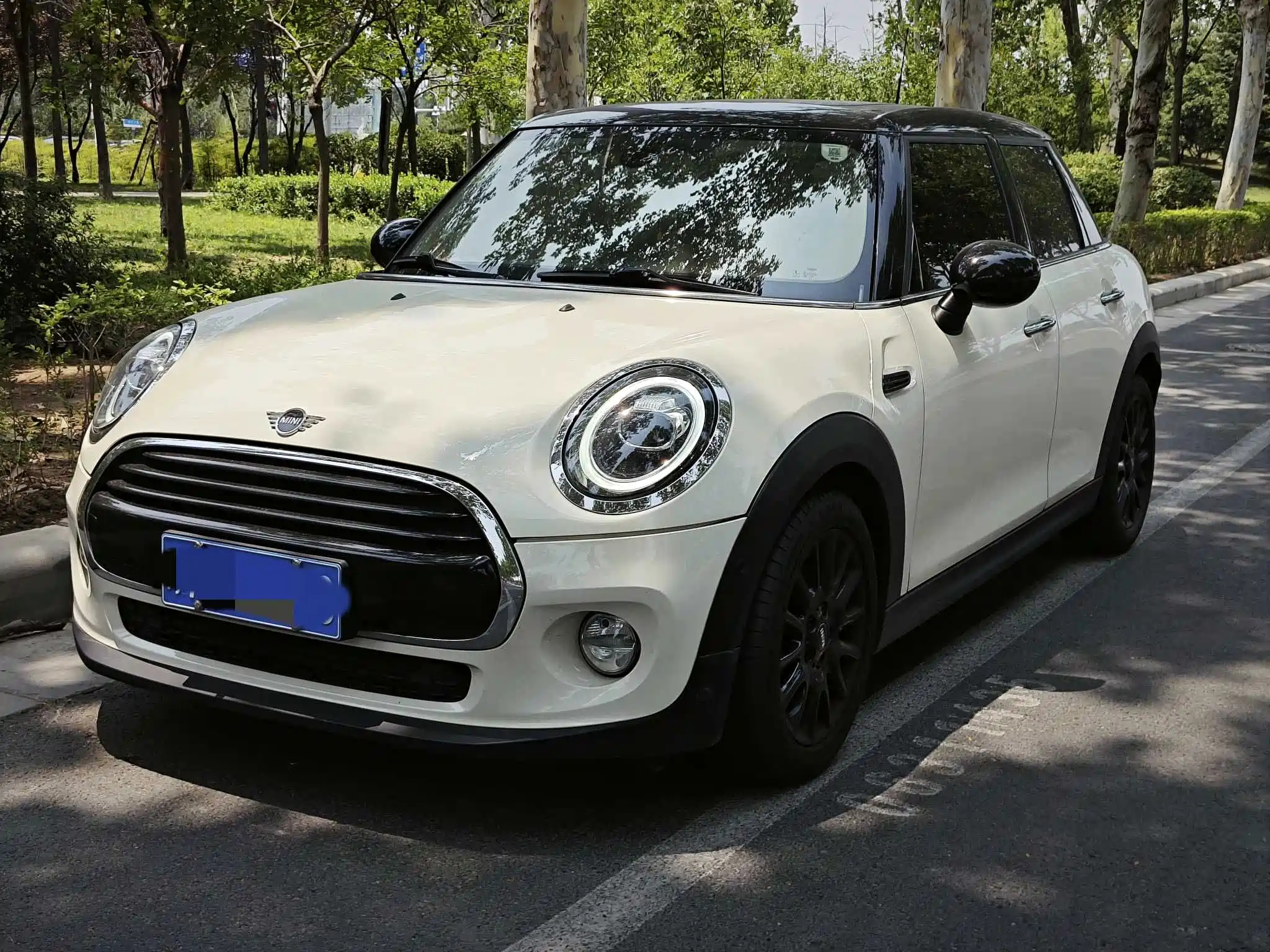 MINI OTHER 2018