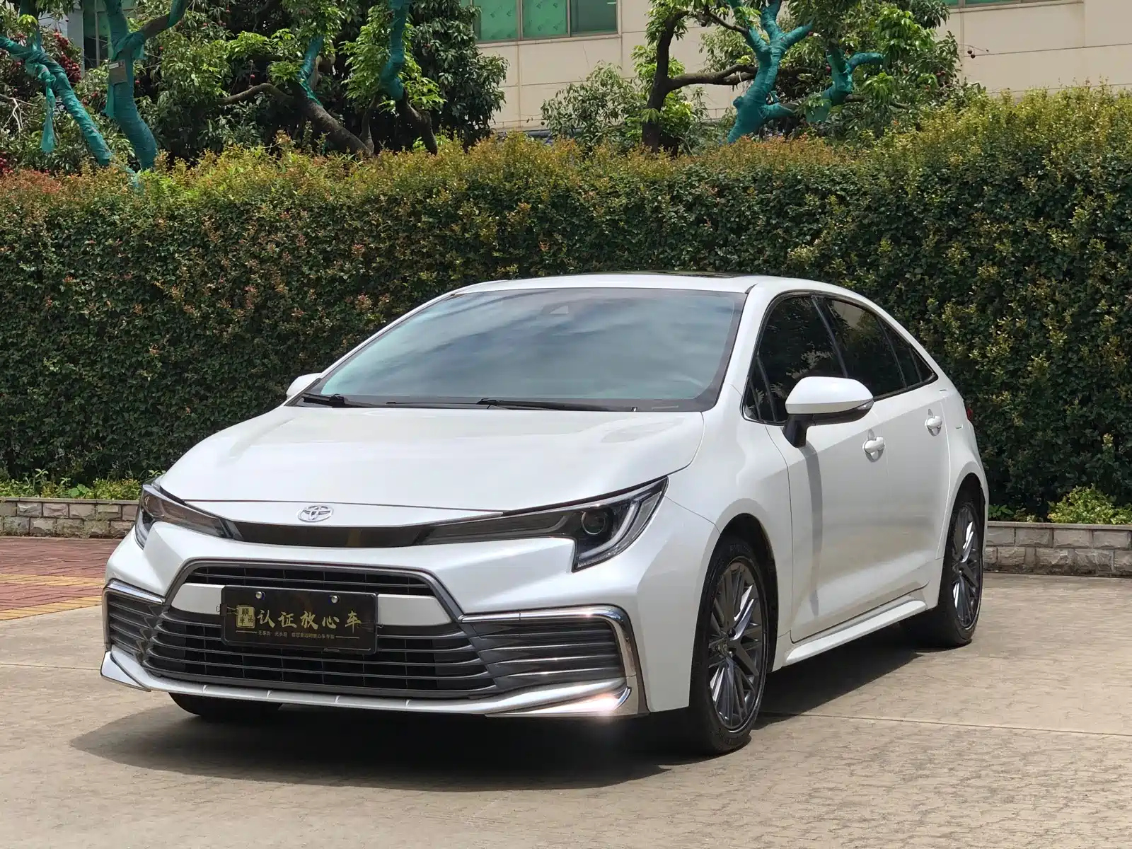 TOYOTA OTHER 2023