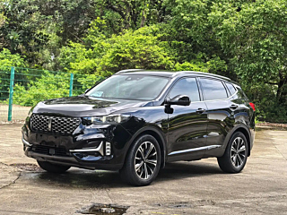 wey vv6