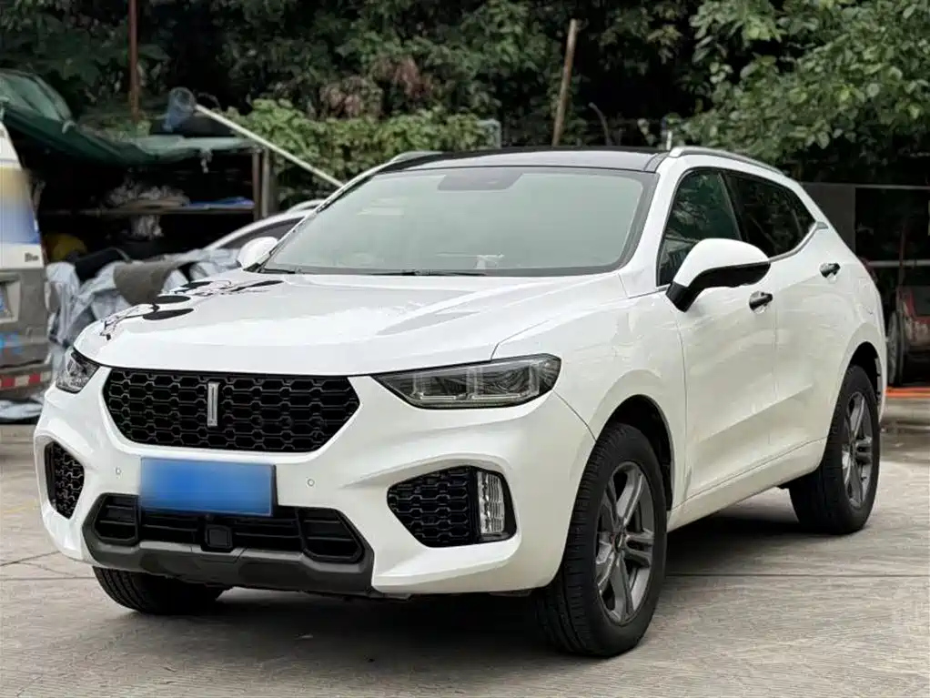 WEY VV5 2019
