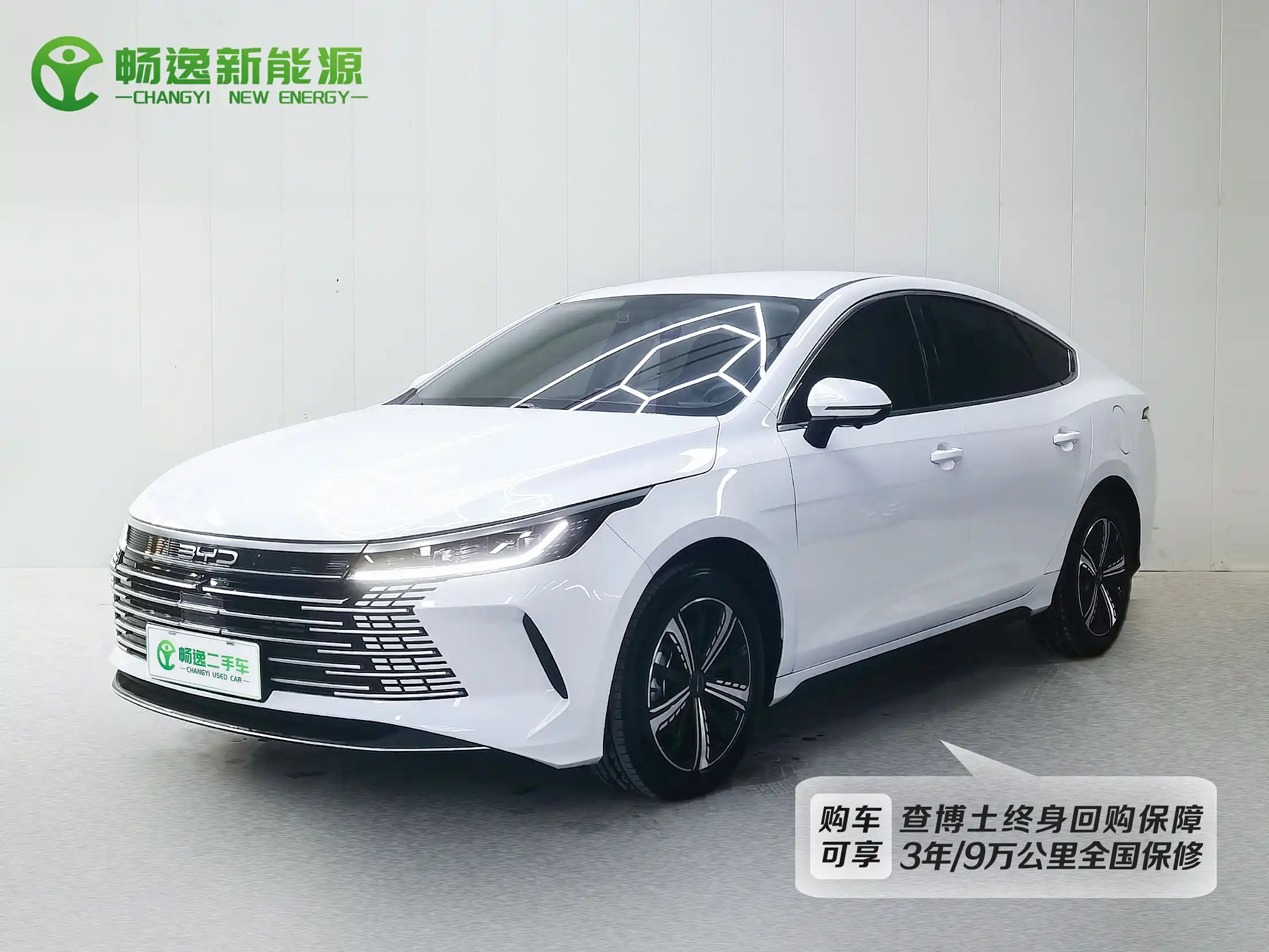 BYD DESTROYER 05 2024