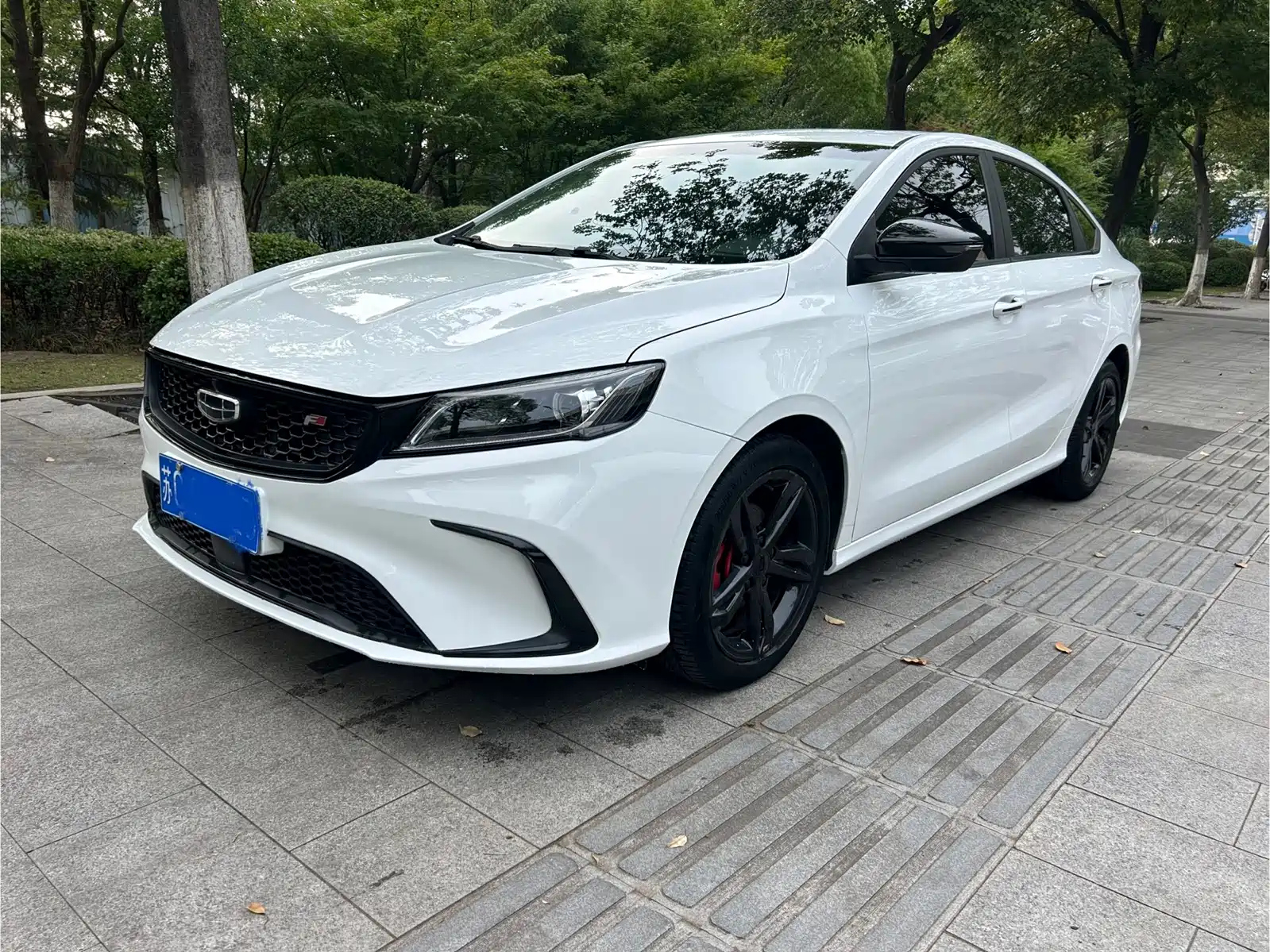 GEELY AUTO BINRUI 2021