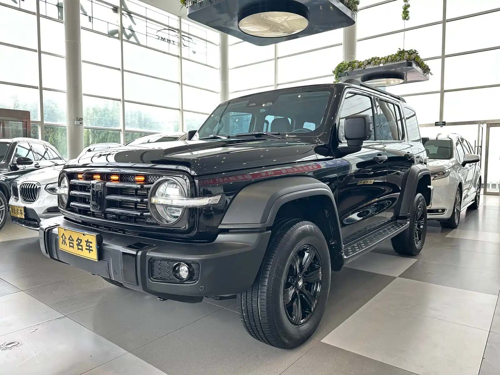 TANK 300