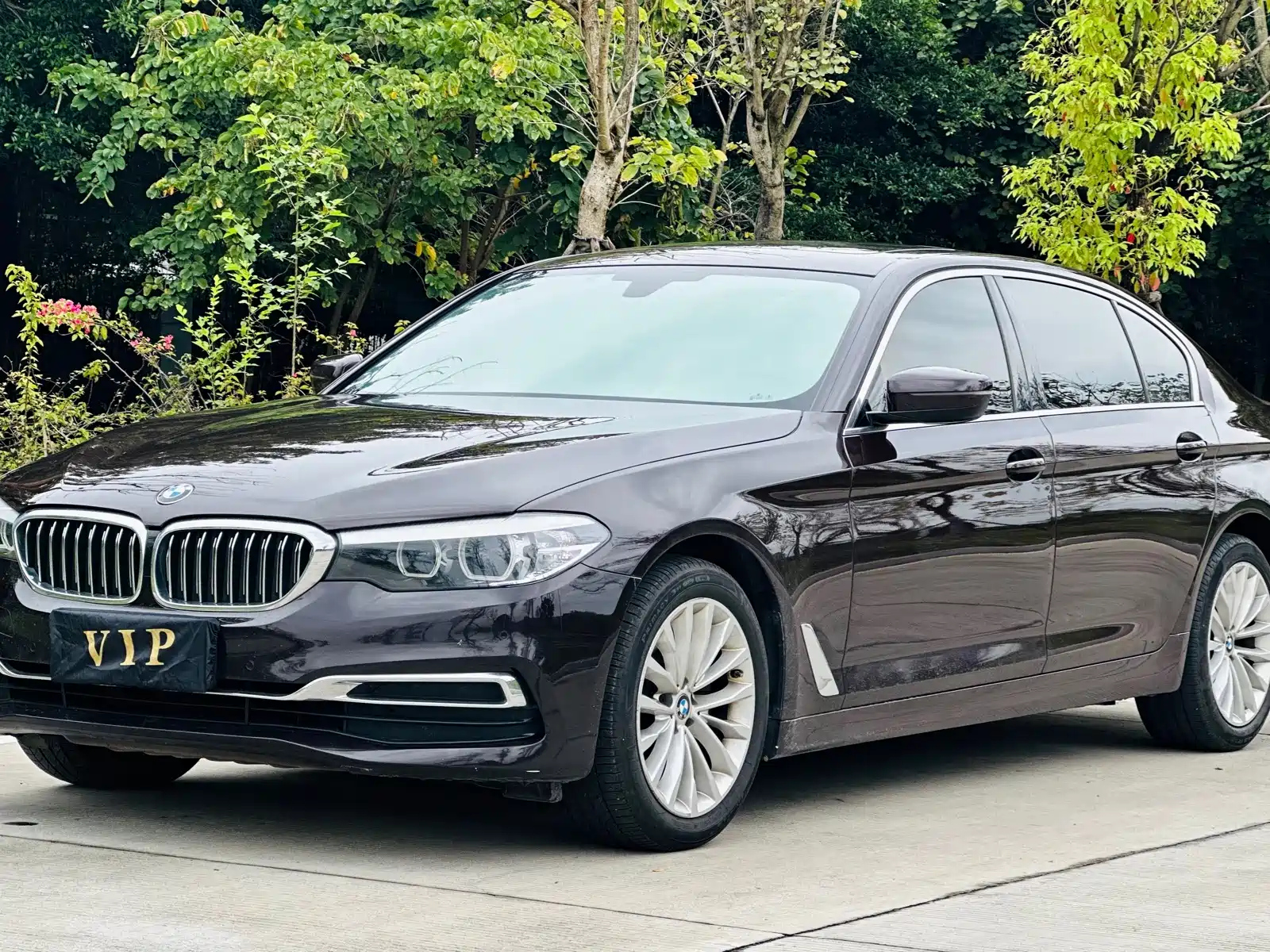 BMW 5-SERIES 2019