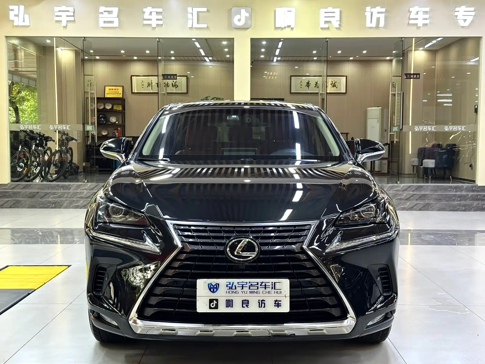LEXUS NX 2018