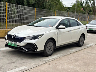 Заказать VENUCIA D60EV