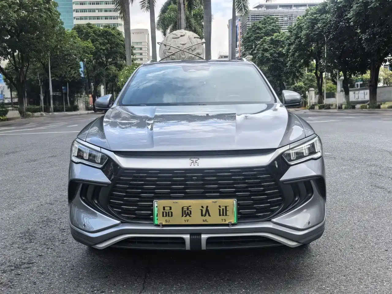 BYD SONG PRO NEW ENERGY 2023