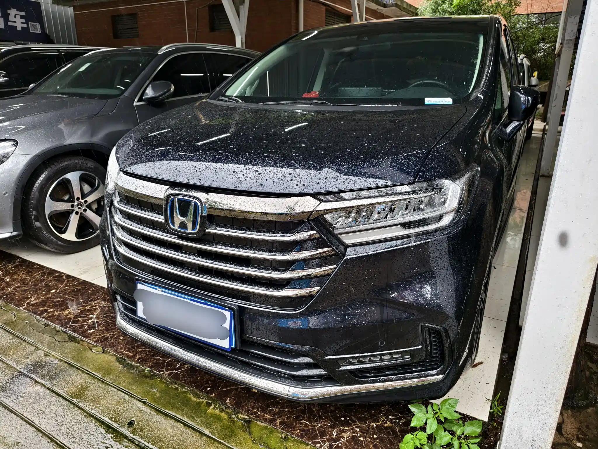 HONDA ODYSSEY 2022