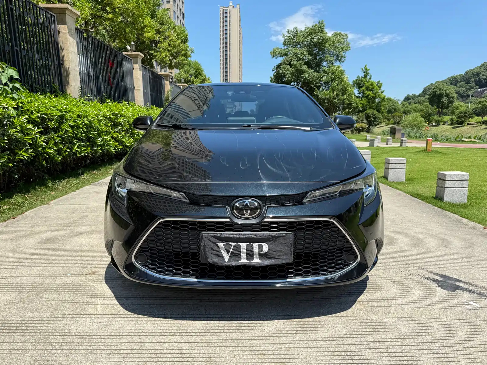 TOYOTA RALINK 2021