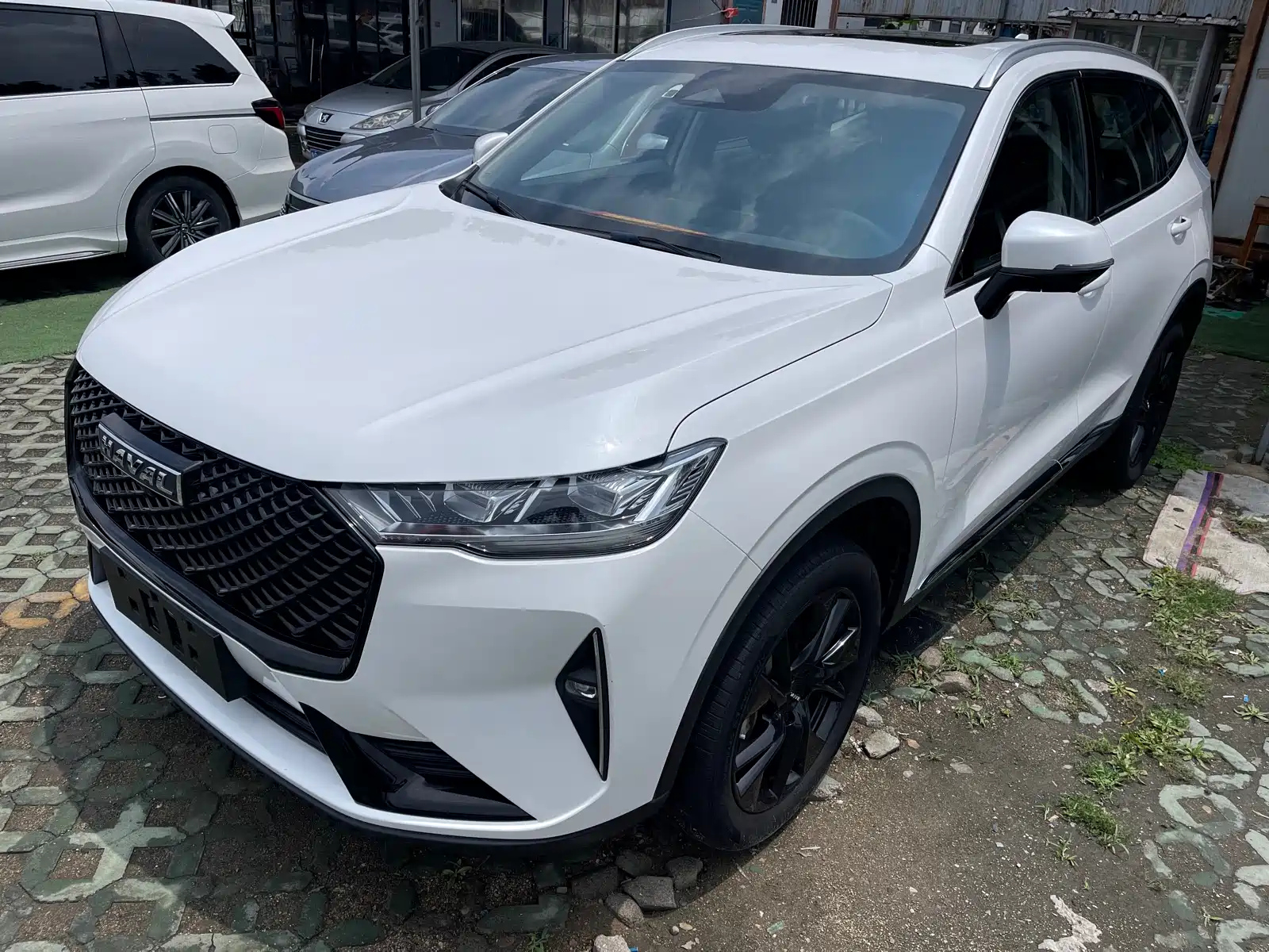HAVAL H6 2021