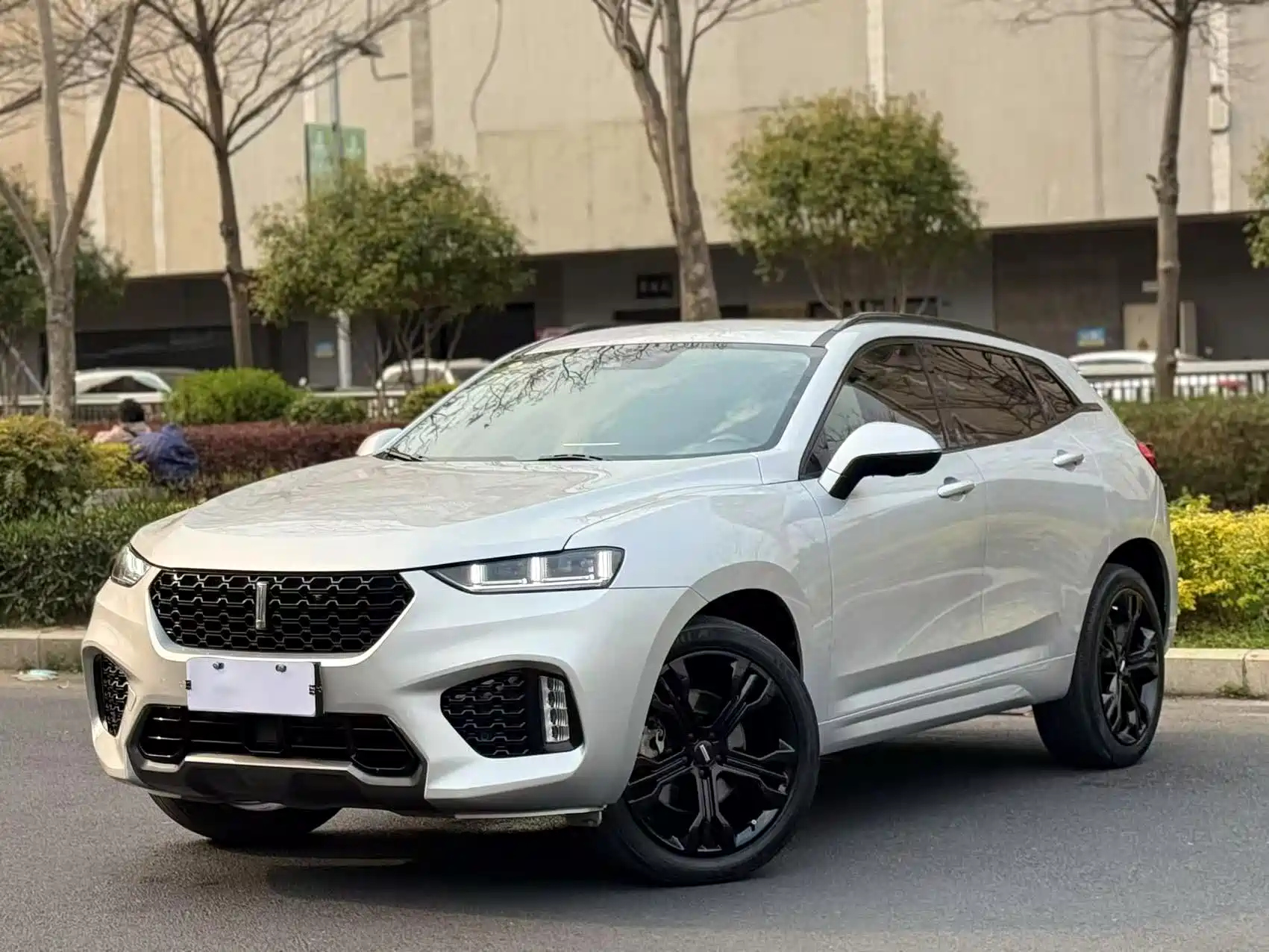 WEY VV7 2017