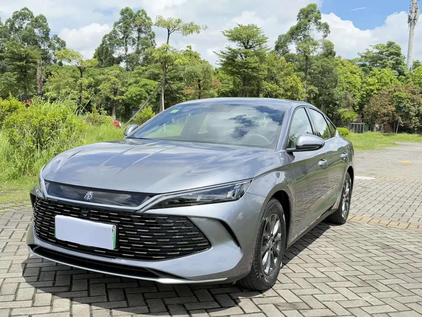 BYD QIN L 2024