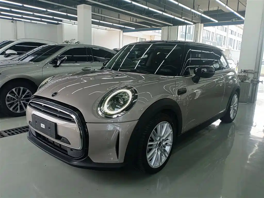 MINI OTHER 2022
