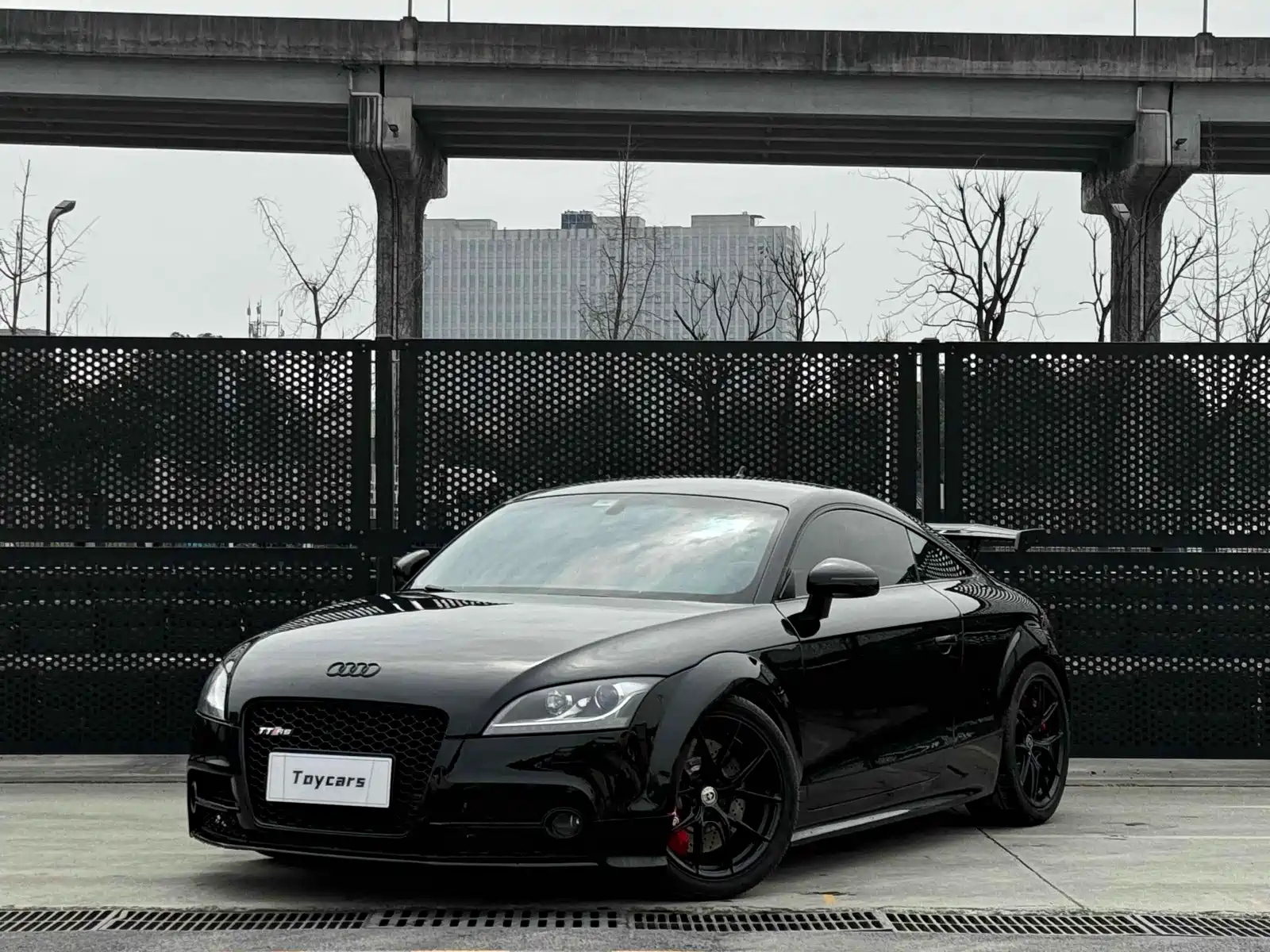 AUDI TTS 2013