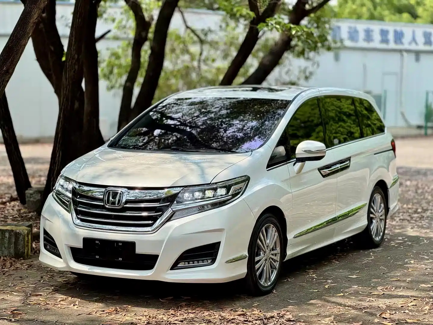 HONDA ALISON 2016
