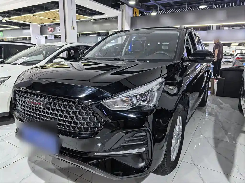 HAVAL M6 2019