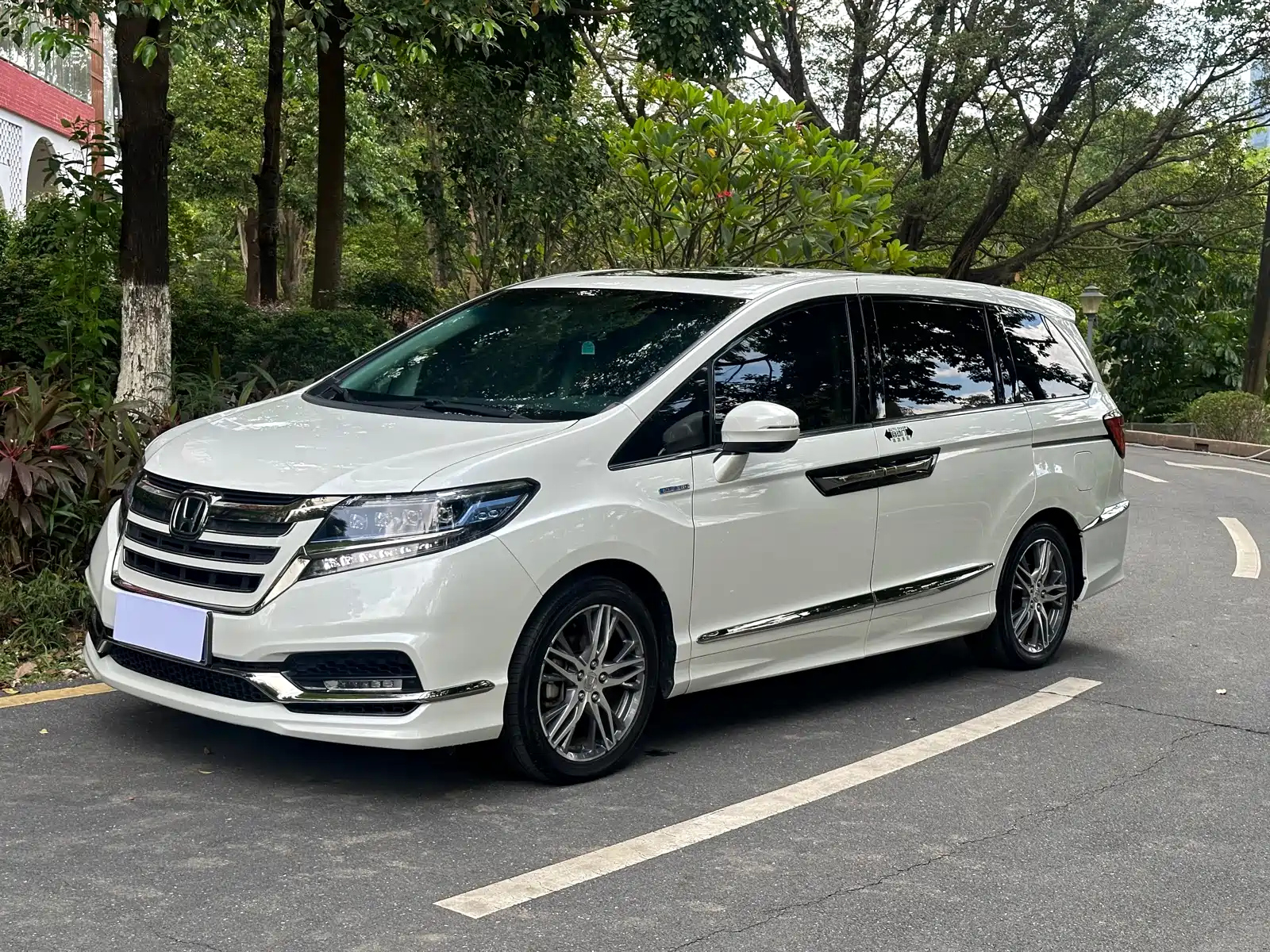 HONDA ALISON 2019