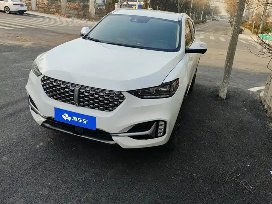WEY VV6 2021