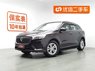 Заказать BORGWARD BX7