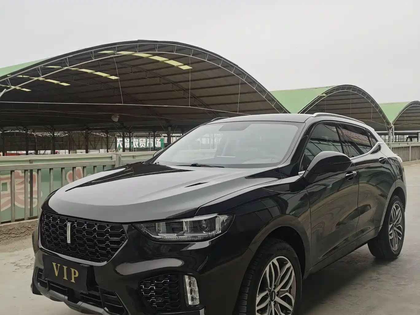 WEY VV5 2019