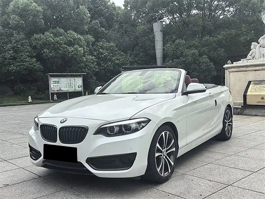 BMW 2-SERIES 2018