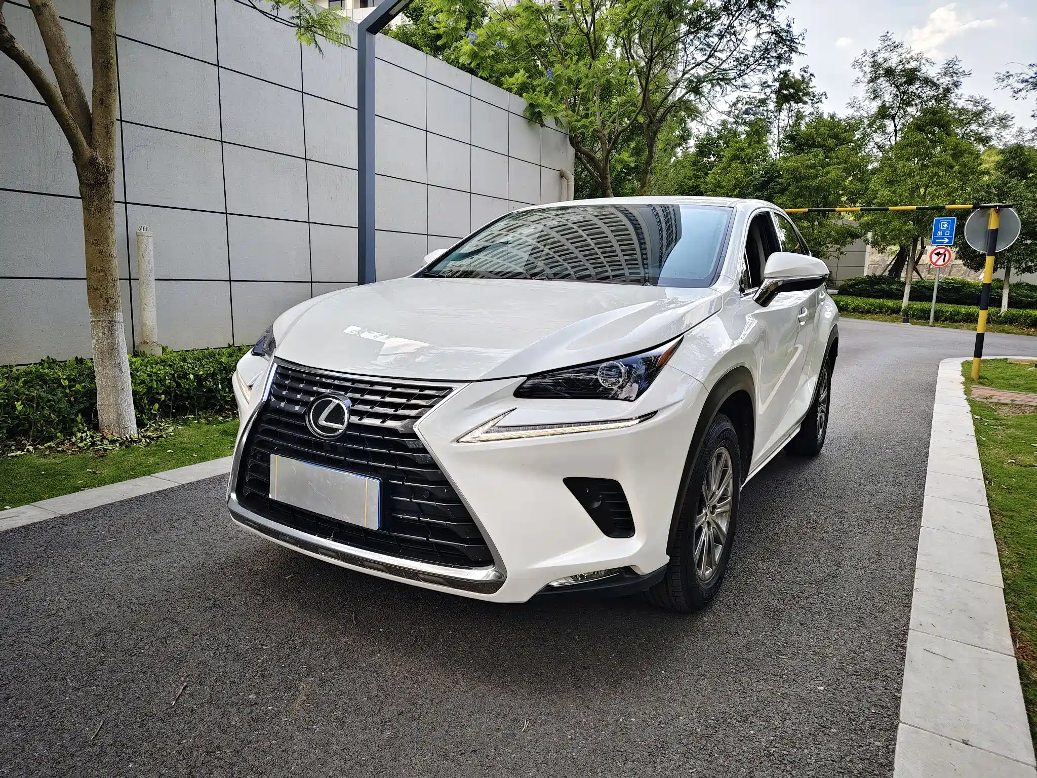 LEXUS NX 2018