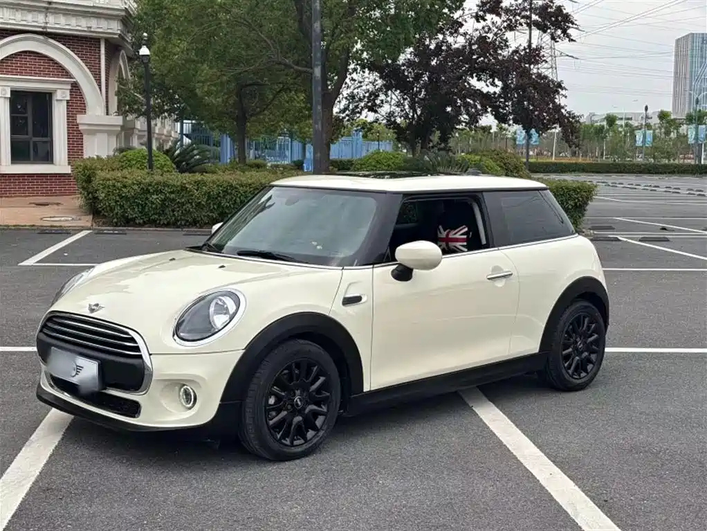MINI OTHER 2021