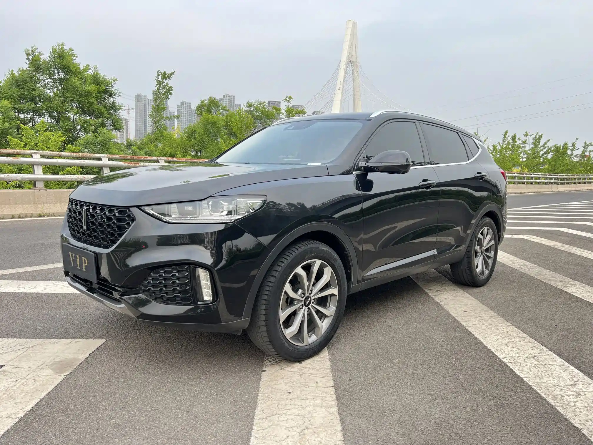 WEY VV6