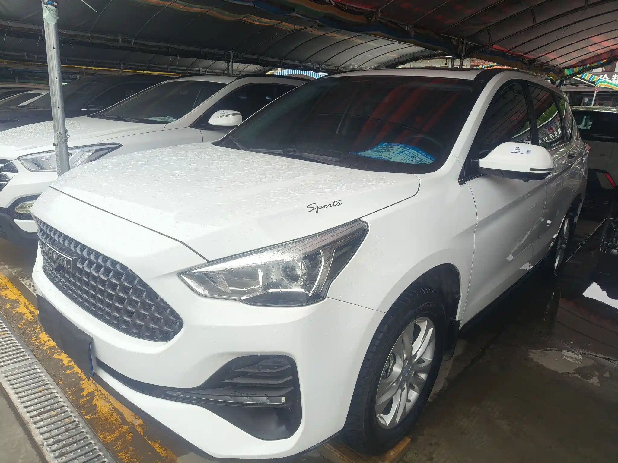 HAVAL M6 2019