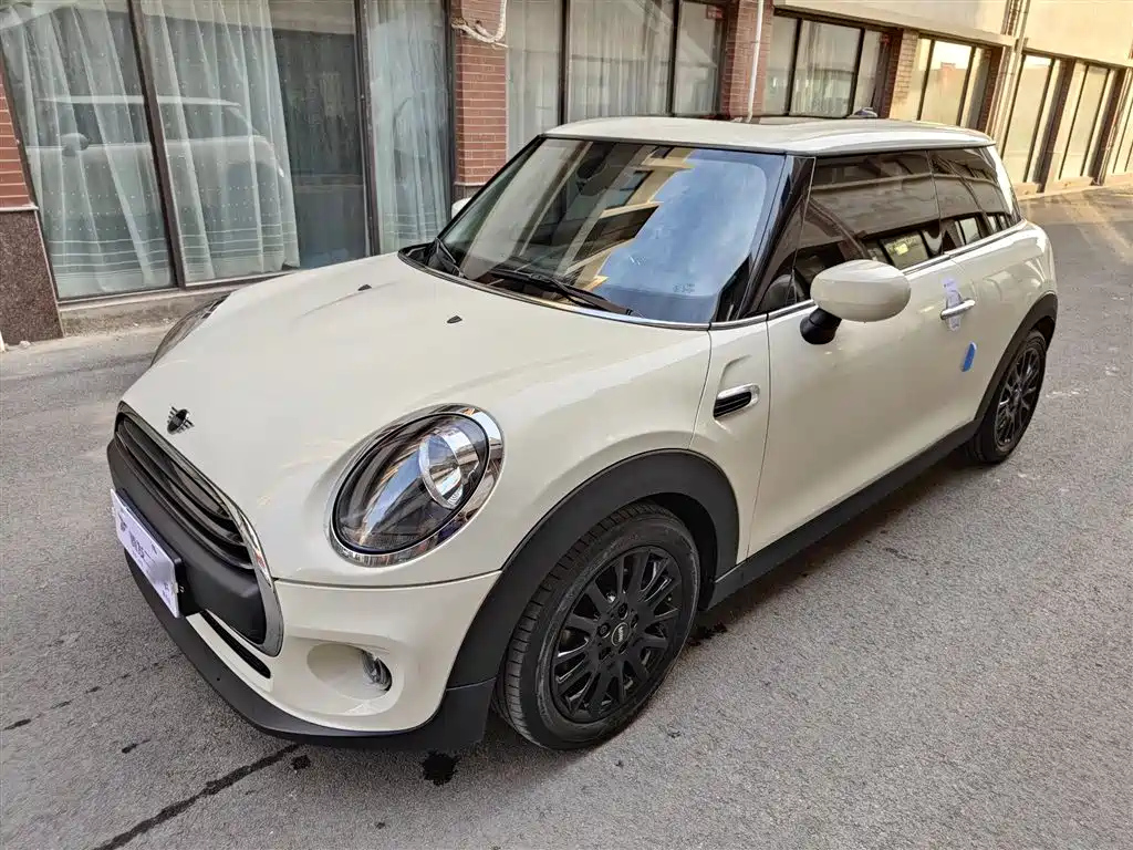 MINI OTHER 2020