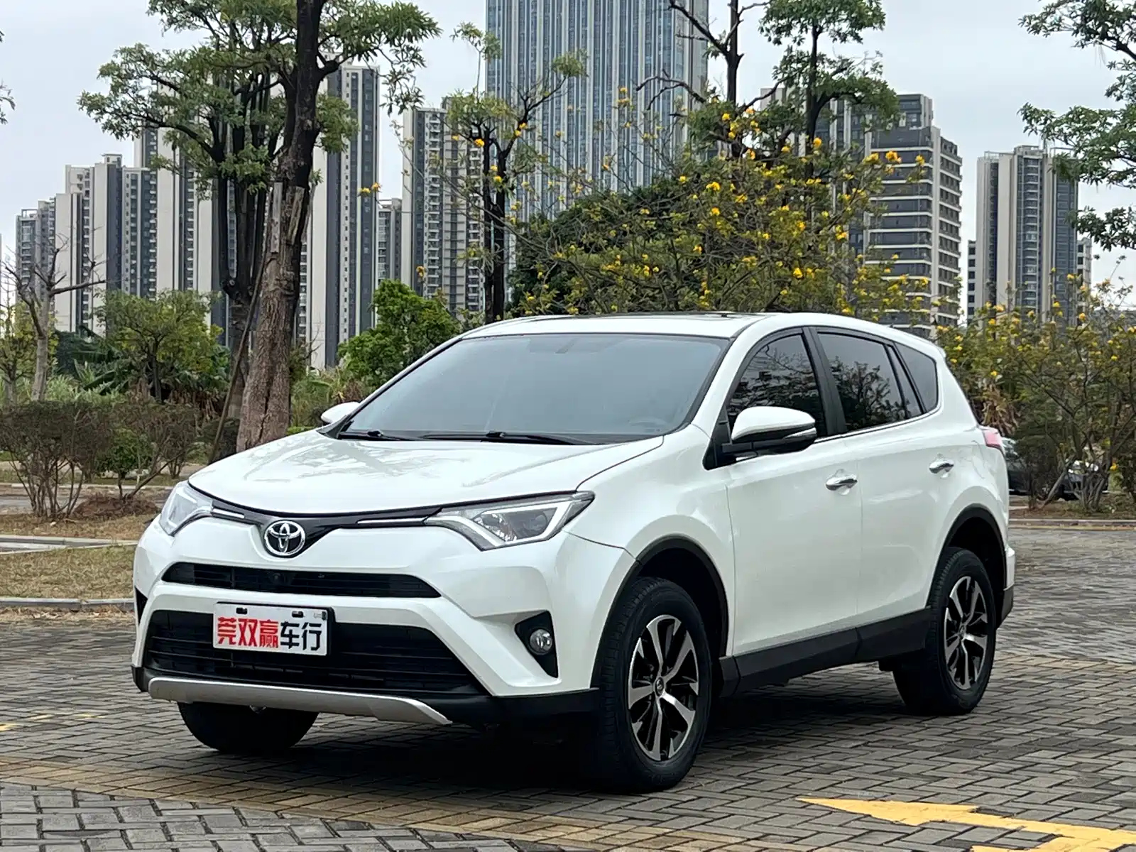 TOYOTA RAV4 RONGFANG 2019