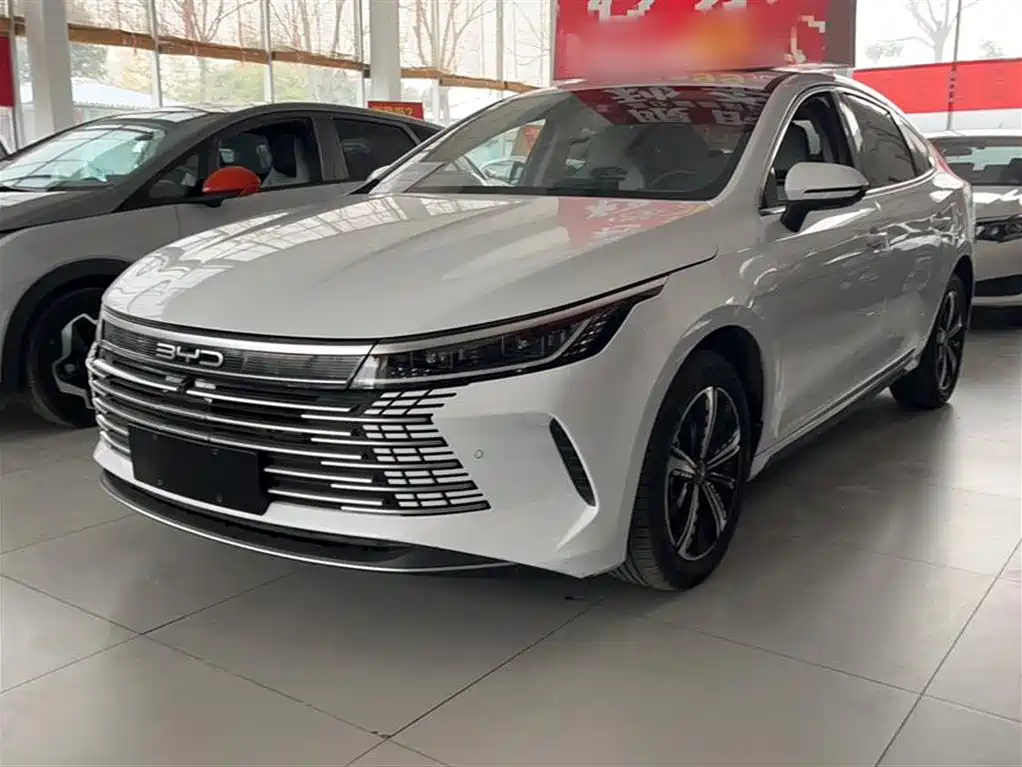 BYD DESTROYER 05 2023