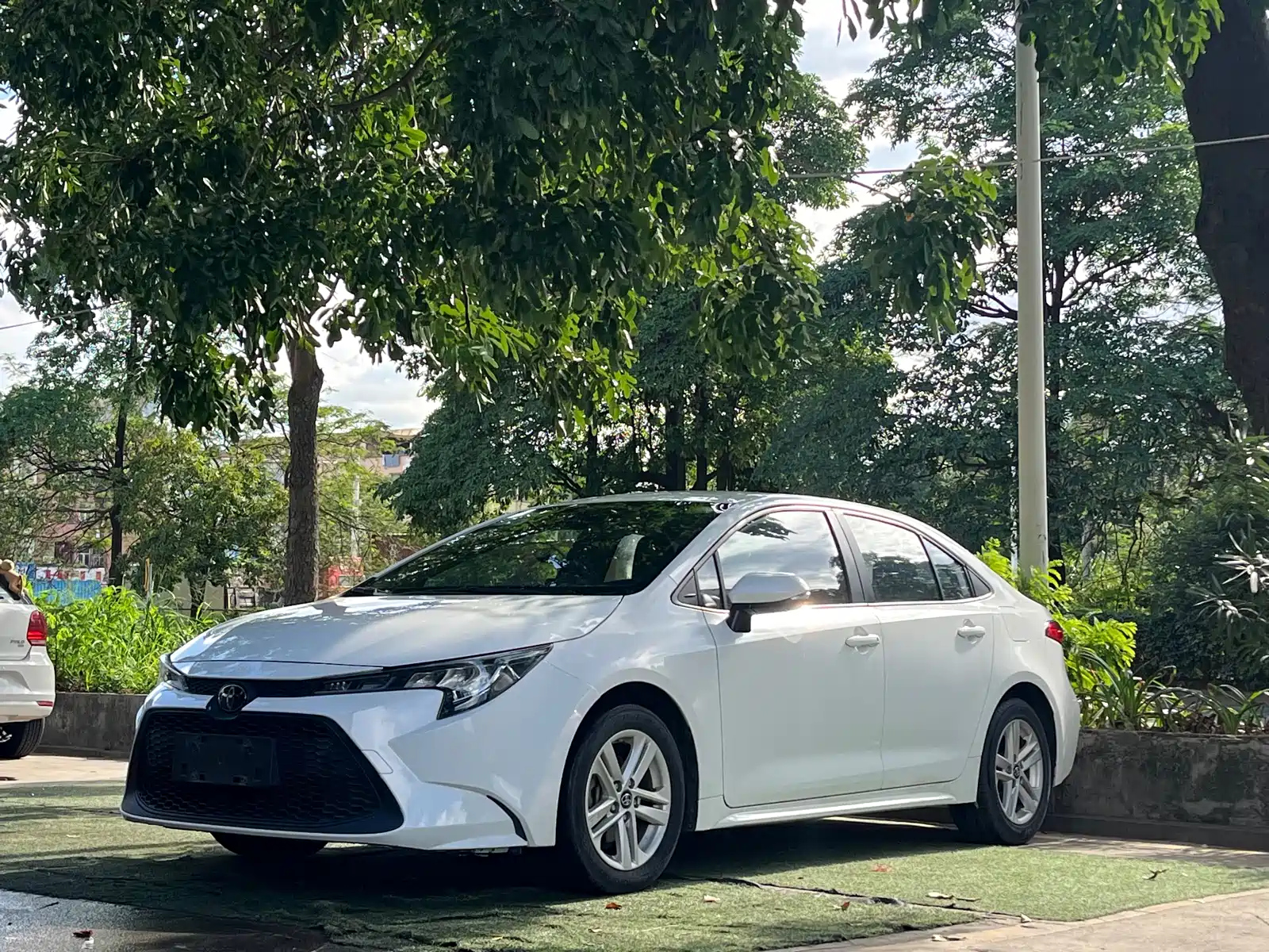 TOYOTA RALINK 2021