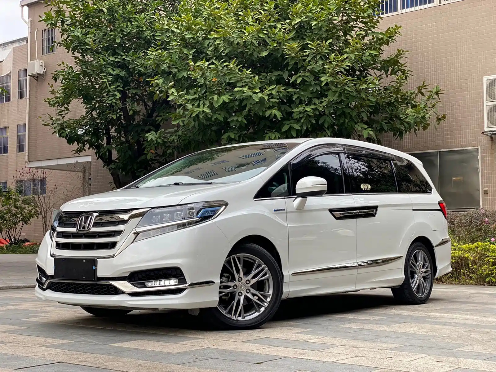 HONDA ALISON 2019