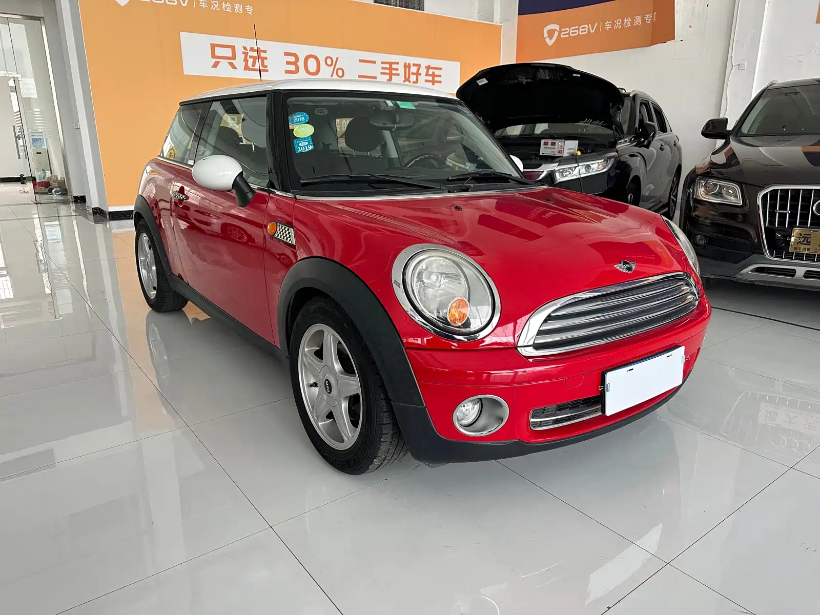 MINI OTHER 2007