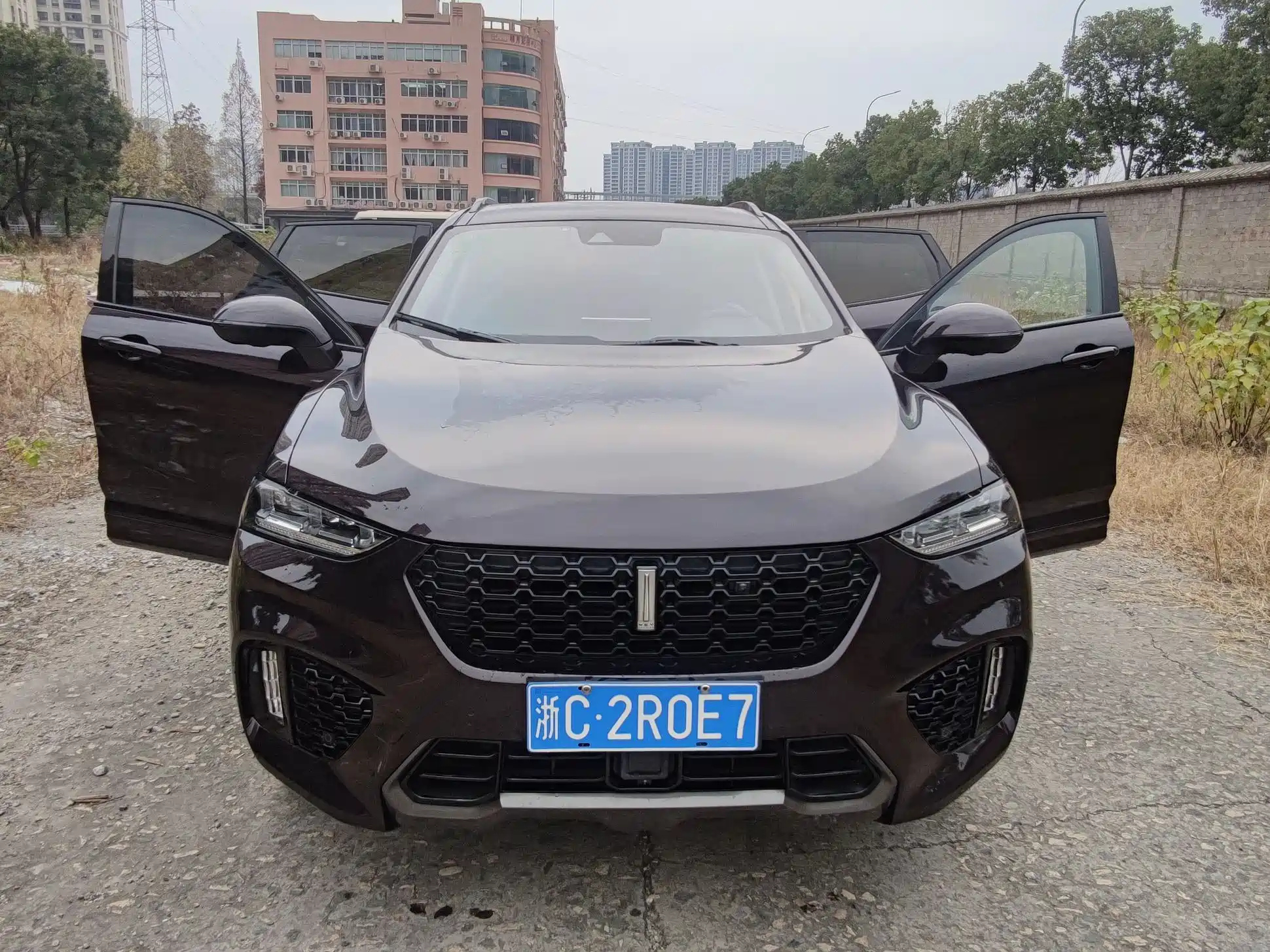 WEY VV7 2017