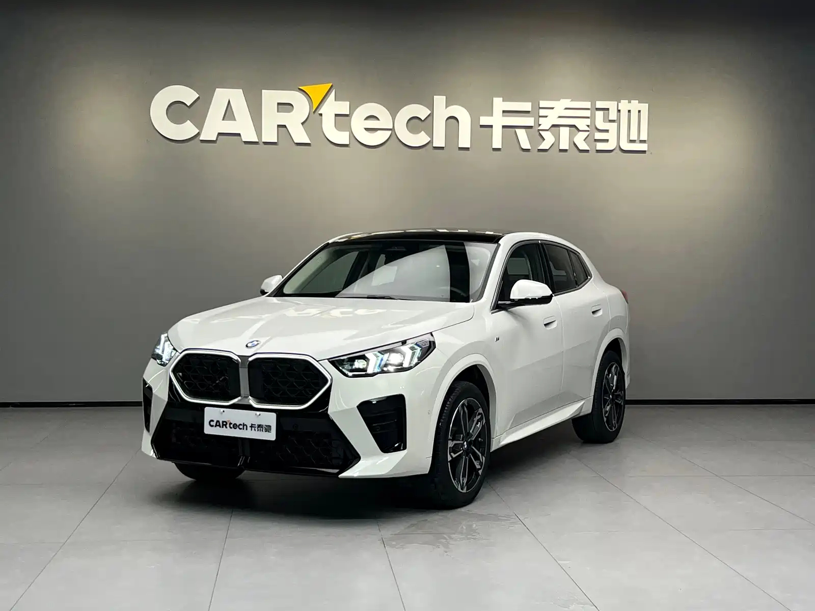 BMW X2 IMPORT 2024