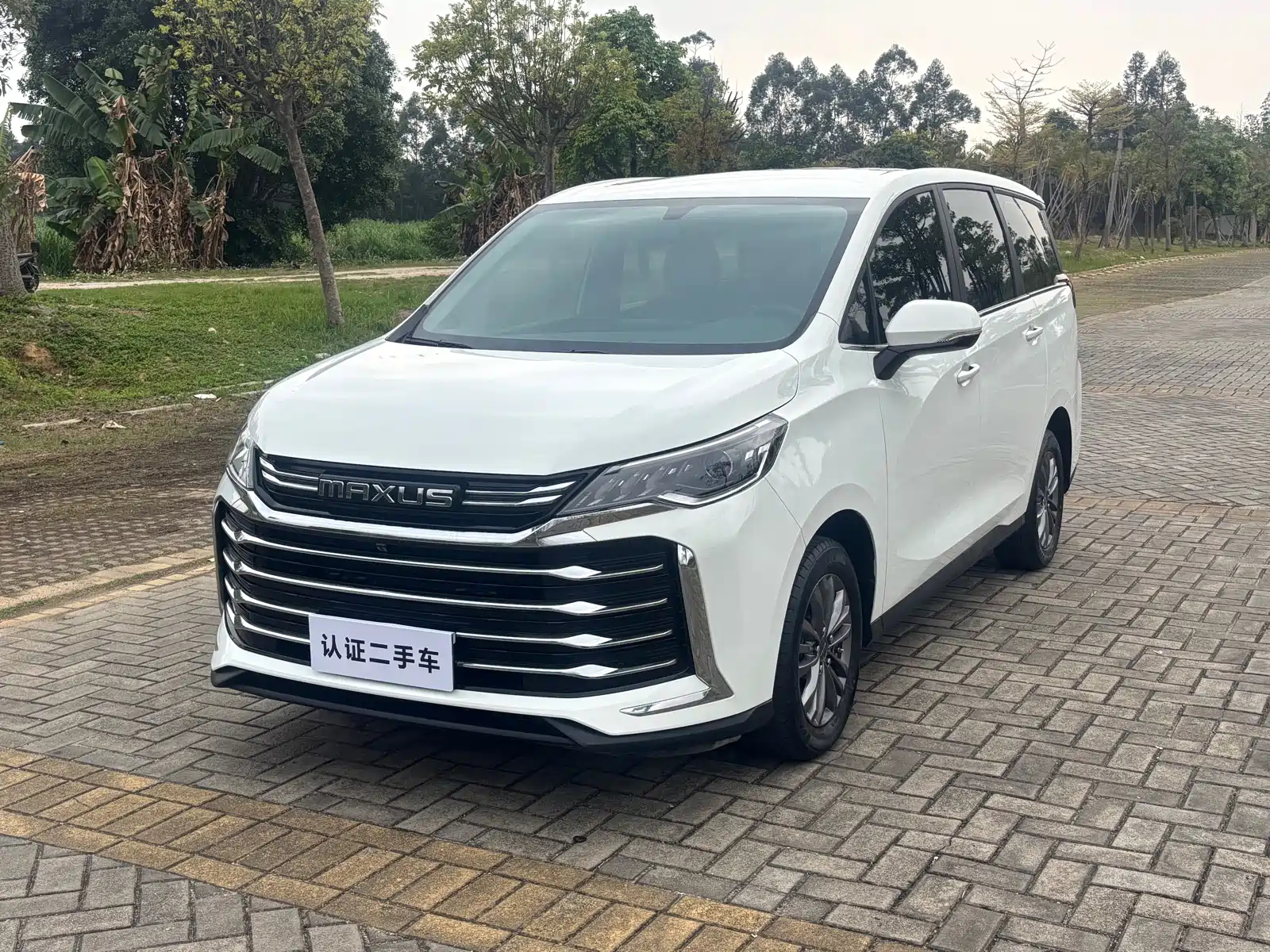 MAXUS OTHER 2023